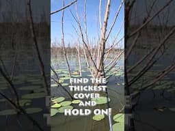 Some of yall that I was fighting a branch lol! #bassfishing #fishingvideo #fishing