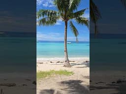 Found the Perfect Beachfront Spot in the Philippines! #bohol