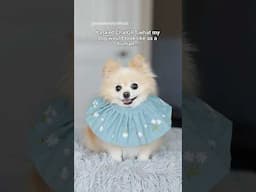 I asked AI what my dog would look like as a human… #pets