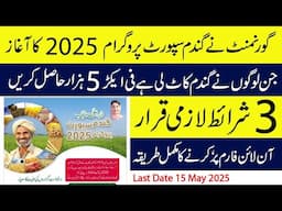 Punjab Wheat Support Program 2025 | Farmers to Get Rs. 5000 Per Acre | Apply Now