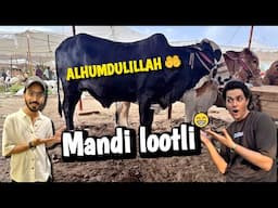 175k main janwar lyliya😍 Mandi ka Last Vlog🙄