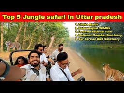 Top 5 Wildlife Sanctuary in india & Tiger Safaris in Uttar Pradesh | Pilibhit Tiger Reserve