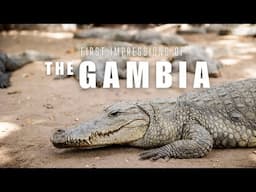 First Impressions of THE GAMBIA || Senegambia Travel Vlog