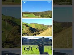 #newzealand #kiwilife #minivlog #trending #lifeinnewzealand #explore #aotearoa #newzealandlife