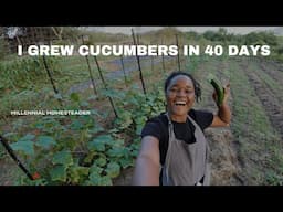 Growing vegetables in 40 days | Update on the market garden experiment | Millennial Homesteader