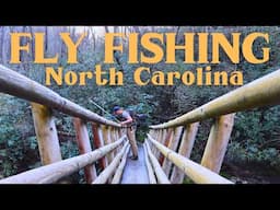One of the best in Western North Carolina | Fly fishing for native trout