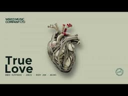 Enzo Siffredi, Joezi, Rody Joh - True Love feat. AKIKI (Extended Mix) [Wired]