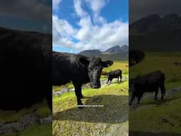 Embarking On Skye Trail Adventures With Stunning Views Ahead