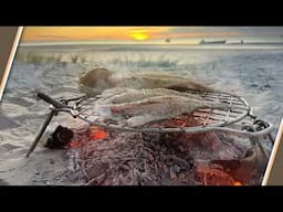 Remote Island Beach Camping Adventure