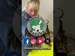 Bo's Story 🫶🐕- donation link in description & comments section
