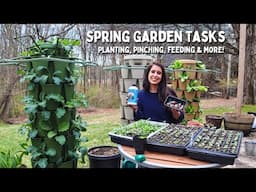 What I’m Doing in the Garden This Week | NY Zone 6b/7a Early Spring Tasks