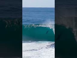 Dolphins in Australia are just built differently 🇦🇺. 🎥  by Josh Dawson during the ex Cyclone TAM.