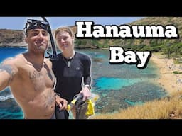 How many tropical fish can we find? - Hawaii Vlog #1
