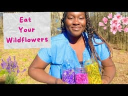 FREE Spring Food! Delicious & Easy Wildflower Recipes (Beginner Foraging) 🌸🌼