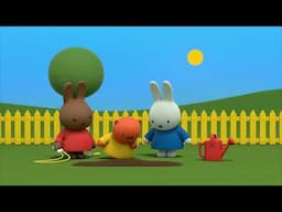 What's growing here? | Miffy | Cartoons for kids