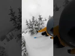 Telemark Turns - Trees - Powder  | 4.3.25 #freeheellife #spreadtelemark #skiing #ski