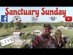 Sanctuary Sunday