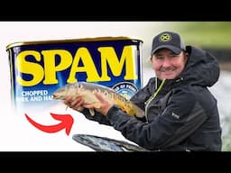 A MEATY Method Feeder!