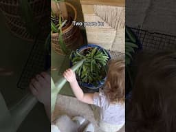 I still love my plants after 2 years of motherhood #houseplants #plantcare
