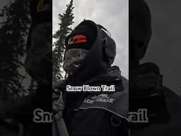 Snow Blown Trail #enigmaticgwichin #alaskanative #snow #winter #shorts