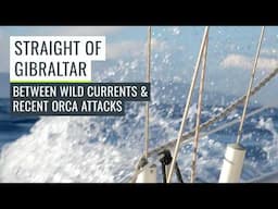 Crossing the Strait of Gibraltar: Did We Pick the Right Window?