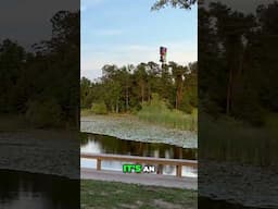 Grand Design RV Rally | Georgia Community & Celebration! #shorts #shortsvideo #shortsfeed