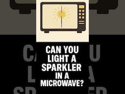 Can You Light a Sparkler using a Microwave? #experiment