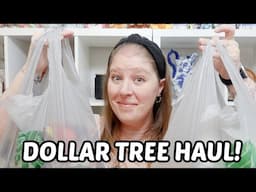 Super Chatty Dollar Tree Haul