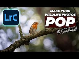 Make Your Bird Photos STUNNING in Lightroom Classic! | Tutorial Tuesday