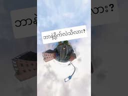 ရာဇာနေဝင်းအကြောတော့မခံဘူး #shortsfeed #shortsviral #shortvideos #viralvideo