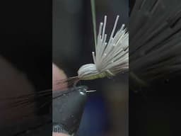The Humpy Fly - #shorts