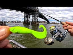 Learn How To Fish NYC East River