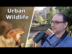 Discovering Wildlife in Berlin - My Peaceful City Break (And How to Travel with Camera Gear)
