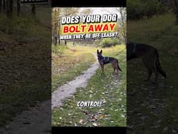 TRY THIS if your dog BOLTS💨 when they’re OFF LEASH! 😱😱😱