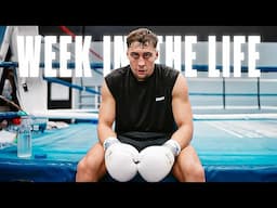 Life in Fight Camp as a Pro Boxer: Sparring, Business, Mindset