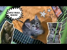 DAILY ROUTINE MARUKO CHAN