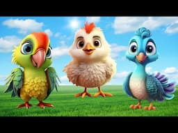Cute Animal Sounds: Chicken, Parrot, Peacock, Duck, Birds | Animal Moments
