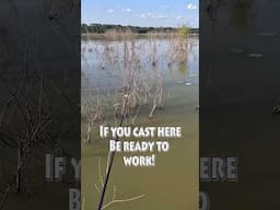 That was intense!  #bassfishing #fishing #fishingvideo