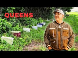 I Decided to Give Queen Rearing Another Try