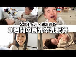 【2歳1ヶ月】我が家の断乳・卒乳記録 〜想像以上に時間がかかった母と子の３週間〜 【からし作戦】