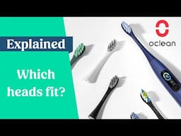 Which Oclean brush head fits my handle?