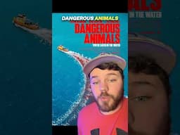 Dangerous Animals is FUN | Movie Review