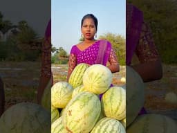 ஆத்தா வீட்டுக்கு மூட்ட கட்ட மட்டும் தெரியுது-ல🤷‍♀️😡😤 #seethavivek #emotional #trending