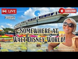 Live from somewhere at Walt Disney World #live 6/11/25