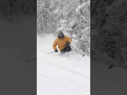 Why Is Telemark Skiing So Fun in Powder? #freeheellife #spreadtelemark #ski #skiing