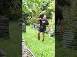 Cutting Back a Perfect Bunch of Bananas
