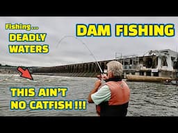 Fishing DEADLY WATERS below THE MOST DANGEROUS DAM on the TENNESSEE RIVER !!!
