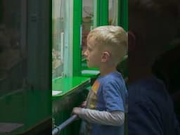 Cold Weather Outside? Watch Indoor Model Trains at the Colorado Railroad Museum or Big Train Tours!