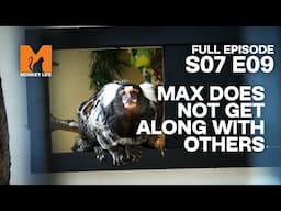 Mad Max Has A New Cellmate | Season 7 Episode 9 | Full Episode | Monkey Life