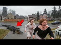 Incredible Animal Escapes Caught on Camera